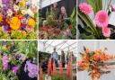 The flower show is always a popular stop for visitors to the Suffolk Show.