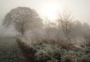 The Met Office has issued a warning for fog in Suffolk