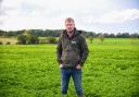 Kris Grzelak, farm manager at Tuckwell Farms, Framlingham, in his parsley field