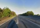 Police were called to reports of a dog being hit on the A14 this morning