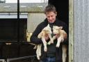 Tim Pratt at Wantisden Hall Farms with some of his lambs