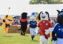 Drama ensues as mascots take to the ring at the Suffolk Show.