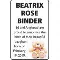 Beatrix Rose Binder