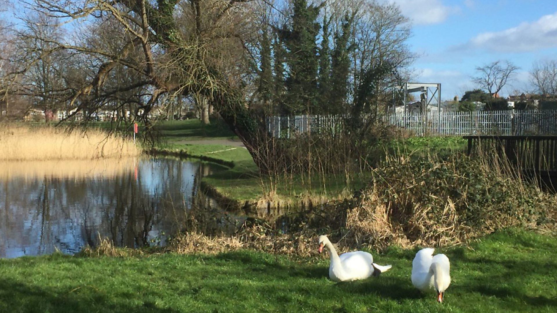 New play areas to open in Lowestoft during Love Parks Week | East Anglian Daily Times - Vimarsana News