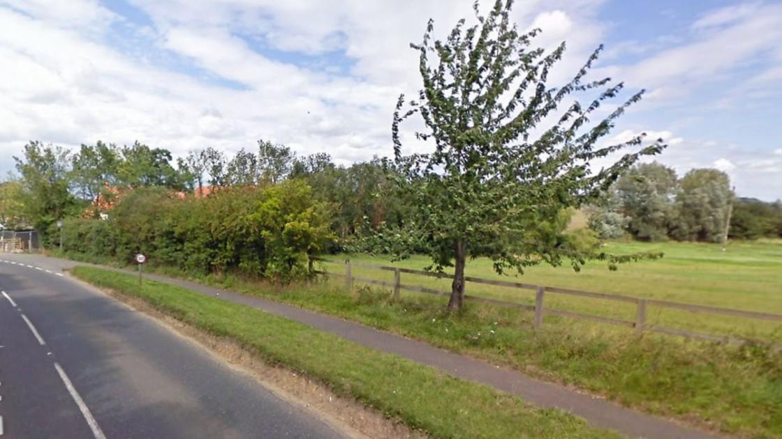 New homes approved despite neighbours' fears 