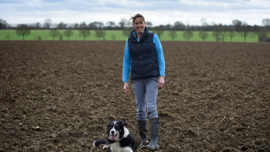 Farming feature: Having a year off was not an option for Ipswich farmer Wendy after birth of children 