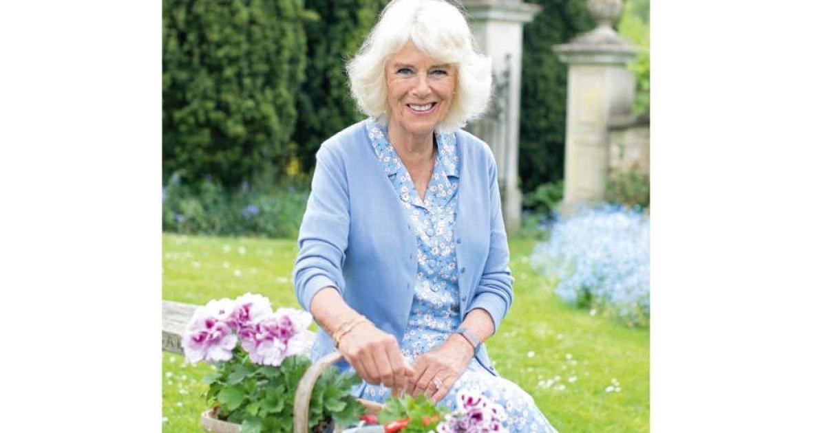 Portrait of Camilla taken by Kate wins prize at media awards - Vimarsana News