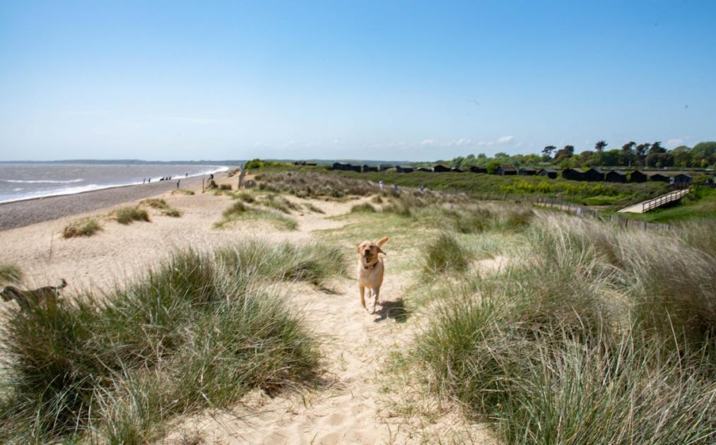 Five of the most scenic spots to visit on the Suffolk coast 