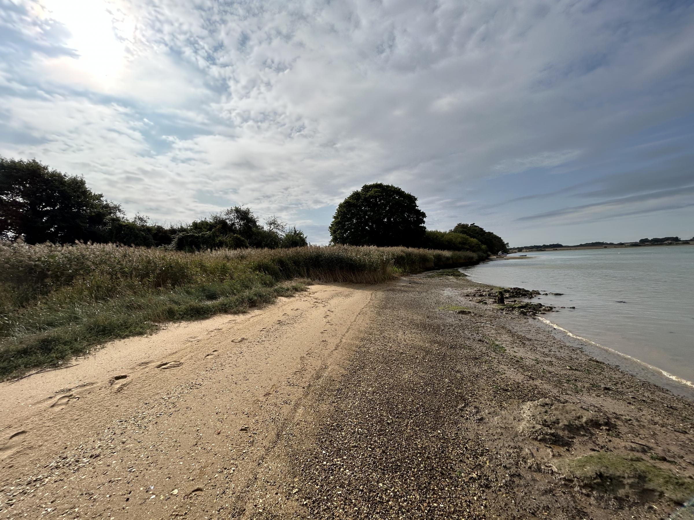 Woodbridge asparagus farm with beach hits the market | East Anglian Daily Times - Vimarsana News