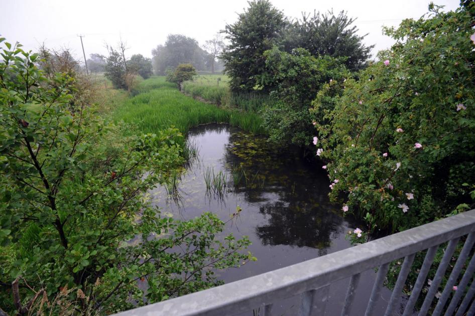 Plans for backwater habitat for River Gipping in Bramford 