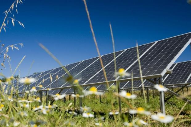 Bentley 116-acre solar farm plans lodged with council 