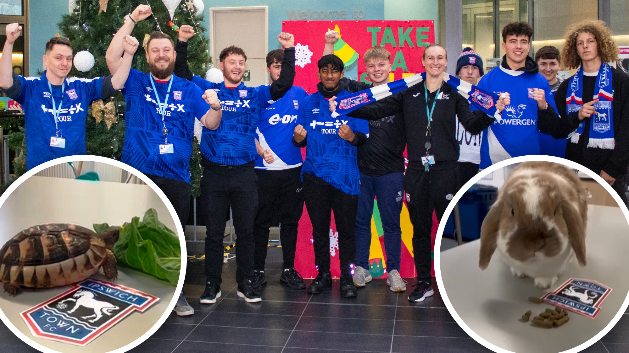 Mystic Bob and Yoshi predict Ipswich to beat Norwich | East Anglian Daily Times - Vimarsana News