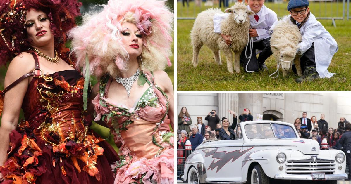 7 major events happening across Suffolk in May 2024 | East Anglian Daily Times - Vimarsana News
