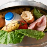 Eliminating food waste from landfill sites is one key way to make the planet more environmentally friendly