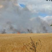 Suffolk Fire and Rescue Service was called to the field on Friday afternoon
