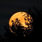 The rare supermoon will be visible over Suffolk again tonight