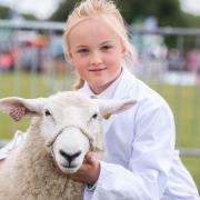 Matilda with her sheep on day two of the Suffolk Show