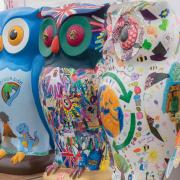 First look at the Owls for the Big Hoot trail.