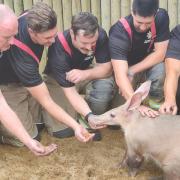 Lowestoft South firefighters with one of the aardvarks after the blaze
