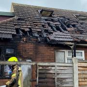 A marmoset monkey has died after a bungalow fire in Colchester