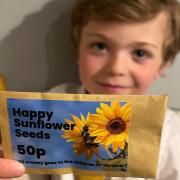 Zeb Porritt from Woodbridge is selling sunflower seeds for 50p each to raise money for children in Ukraine