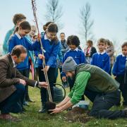 Pupils at Howard Primary Academy plant the first of 3,000 for a healing wood on school grounds