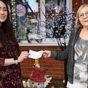 Christmas light winner Jackie Orton, 72, puts her decorations up single-handed Picture: Charlotte Bond