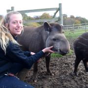22-year-old Izzy Macfarlane is an animal ranger at Jimmy's Farm in Ipswich