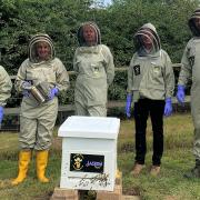 Staff at Jimmy's Farm geared up to welcome the bees