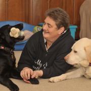 Penny Parker has looked after 14 guide dogs over the years