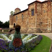 Some of the floral displays in Colchester Castle Park