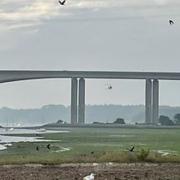A body has been recovered near the Orwell Bridge in Ipswich