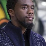 Chadwick Boseman in Black Panther. Costumes from the film will be on display at Christchurch Mansion from next April as part of the Power of Stories exhibition Picture: DISNEY/MARVEL STUDIOS/IMDB