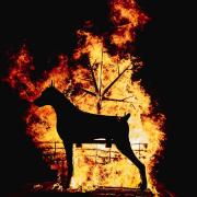 The Black Dog, symbol of The Pyre Parade, a new Ipswich tradition, which invites people to write down their bad news which is then set ablaze on a huge bonfire. The Black Dog represents Suffolk legend Black Shuck. The Pyre Parade is part of the Spill