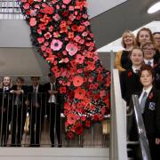 Students at Thomas Gainsborough School have created a poppy display for remembrance Picture: MARCELLE CLAXTON