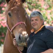 Bruce Kerr, Suffolk Show Director with Her Majesty The Queen's Suffolk Punch, Whitton Poppy at Easton Farm Park Picture: SARAH LUCY BROWN
