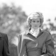 Princess Diana at the Suffolk show in 1986  Picture: ARCHANT