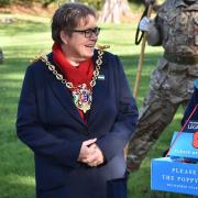 Ipswich major Jane Riley helped to launch this year's Poppy Appeal. Picture: SONYA DUNCAN