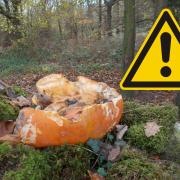 Woodlands Trust warns against pumpkin dumping.
