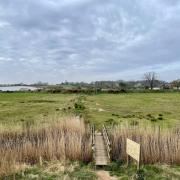 Suffolk Wildlife Trust has reached the halfway mark in its appeal to raise £1m for a new nature reserve, known as 'Martlesham Wilds'.