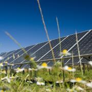 West Suffolk Council is calling for the UK's biggest solar farm application to be refused, saying it could have a 'damaging impact' on local communities and businesses.