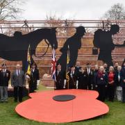 Schools and Colleges around Suffolk have paid their respects ahead of Remembrance Day. West Suffolk College had a big mural