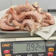 Prawns tested for irradiation by Suffolk Coastal Port Health Authority (SCPHA)