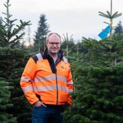 Simon Eddell, estate manager at the Rougham Estate near Bury St Edmunds, in one of its Christmas tree plantations