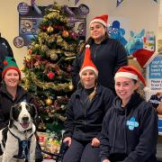At Suffolk's Blue Cross animal rehoming centre, their team of staff and volunteers work extra hard to ensure that every animal under their care knows it's Christmas.
