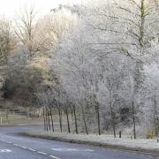 Suffolk has been hit by frost this week and we're all freezing