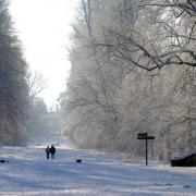 Nowton Park near Bury St Edmunds in the snow