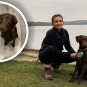 A Stowmarket woman is opening up a new dog grooming parlour and personalised treat kitchen, with her own chocolate Labrador, Spud, at the heart of her business' philosophy.