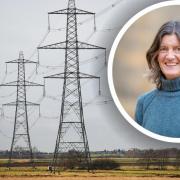 Rosie Pearson (inset), head of Essex Suffolk Norfolk Pylons is concerned plans to hold a second consultation will harm the independence of a review into the pylons