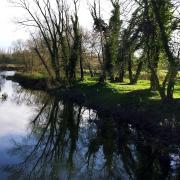 The man in his 80s has been found in the River Stour